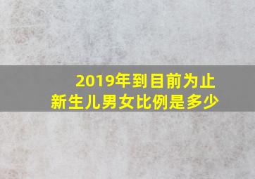 2019年到目前为止 新生儿男女比例是多少